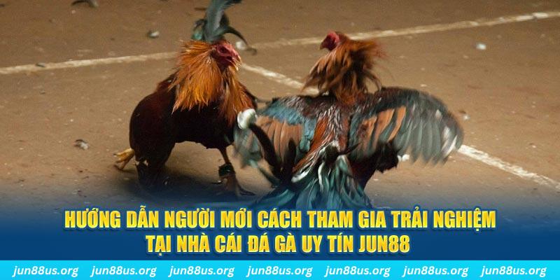 555win12 CQ9 Điện Tử