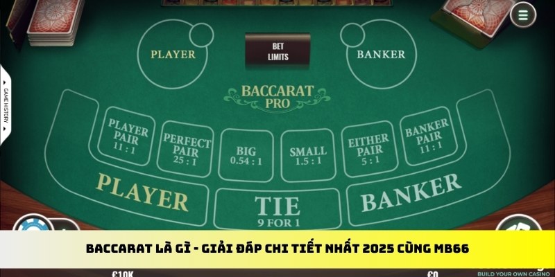 555win12 gà chọi cu cần