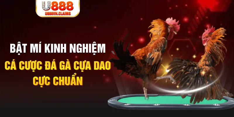 555win12 tỷ lệ cá cược châu á là gì