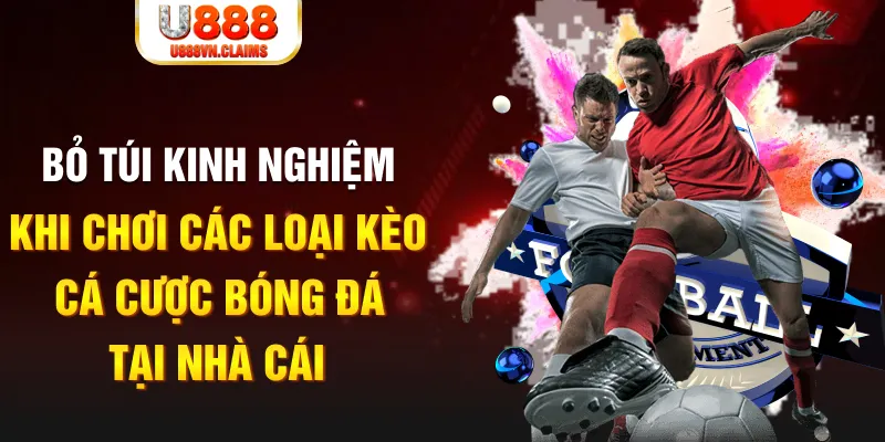 555win12 Tài Xỉu