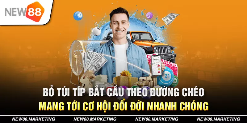 555win12 789bet có bao nhiêu sảnh game bài 3d ？