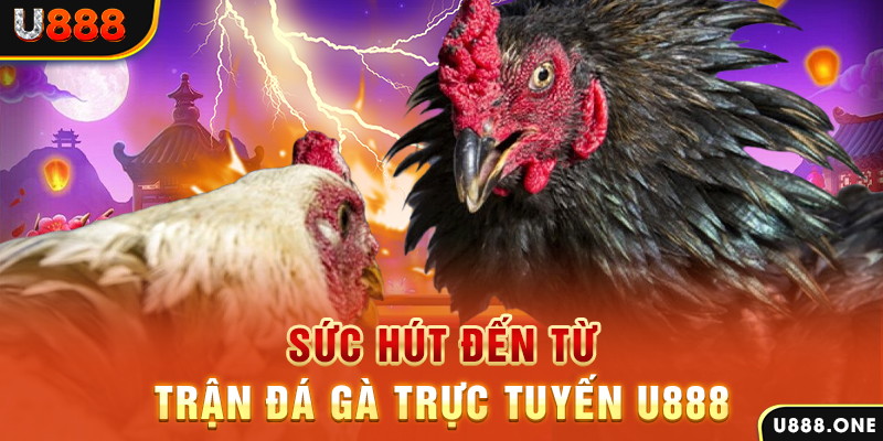 555win12 nổ hũ b29 là gì