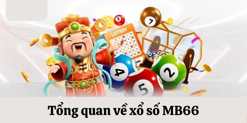 555win12 da ga
