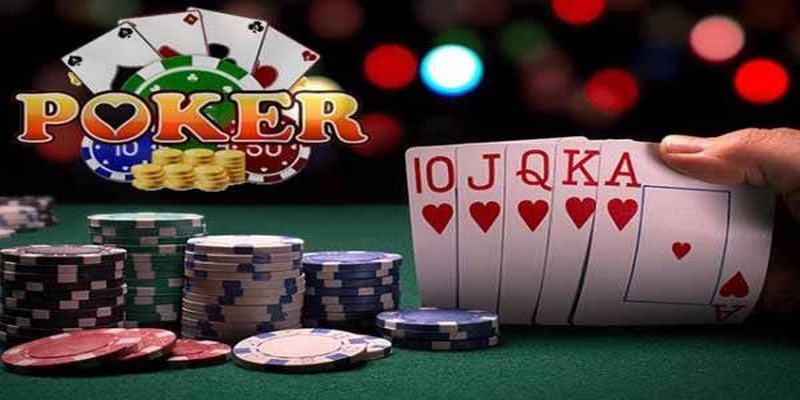 555win12 đá gà thomo trực tiếp