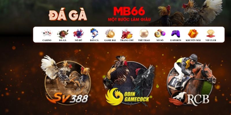 555win12 đăng nhập poker số 1