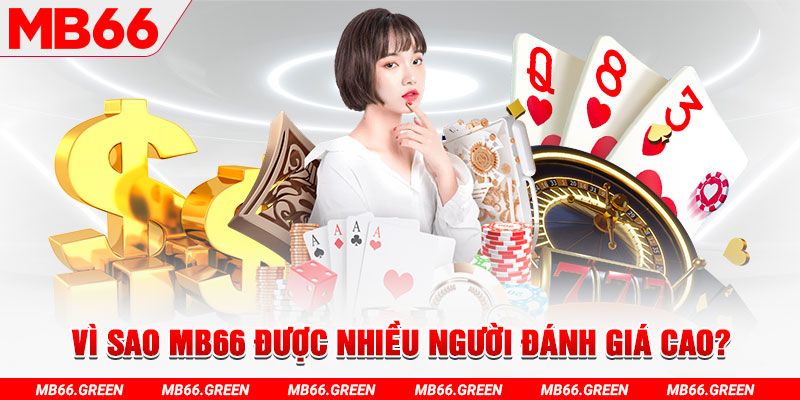 555win12 đá gà