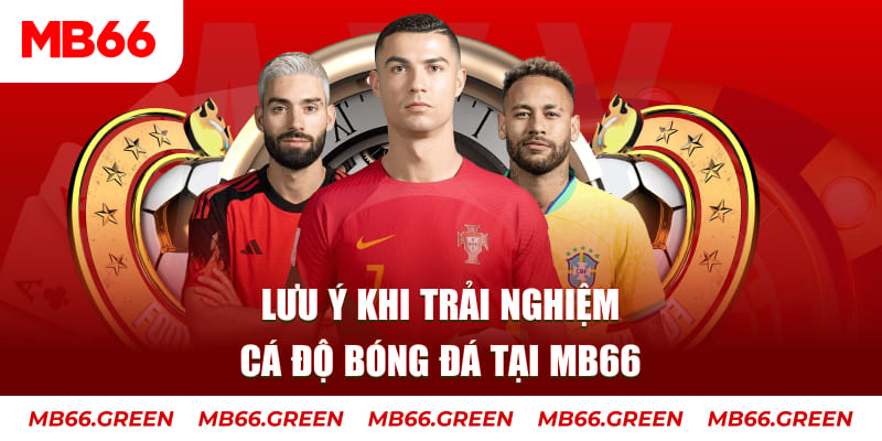 555win12 cá cược là gì