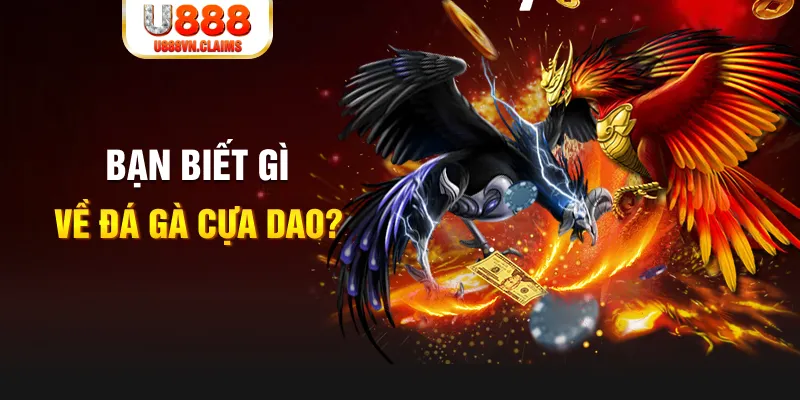 555win12 nổ hủ là gì