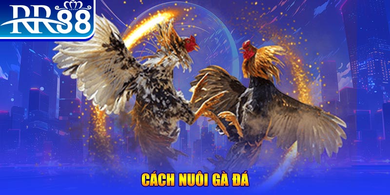 555win12 xổ số an giang