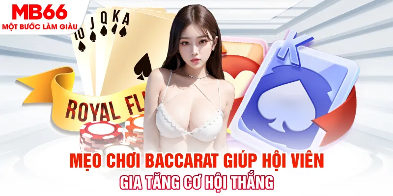 555win12 Phi Đội Ưu Tú