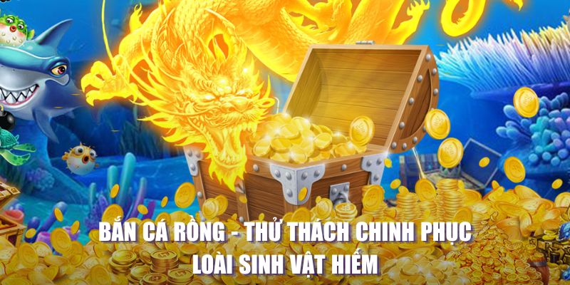 555win12 máy slot game là loại trò chơi gì？