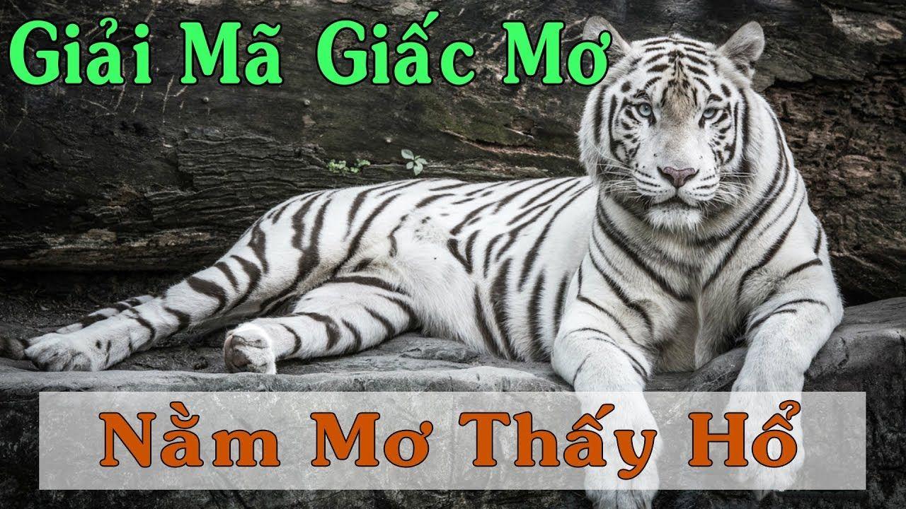 555win12 WM Trực Tuyến