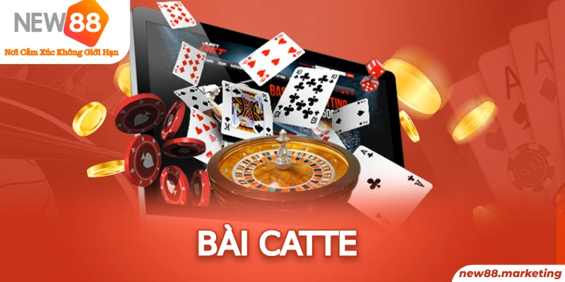 555win12 gà chọi