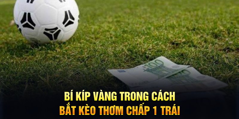 555win12 sổ xô miên bắc