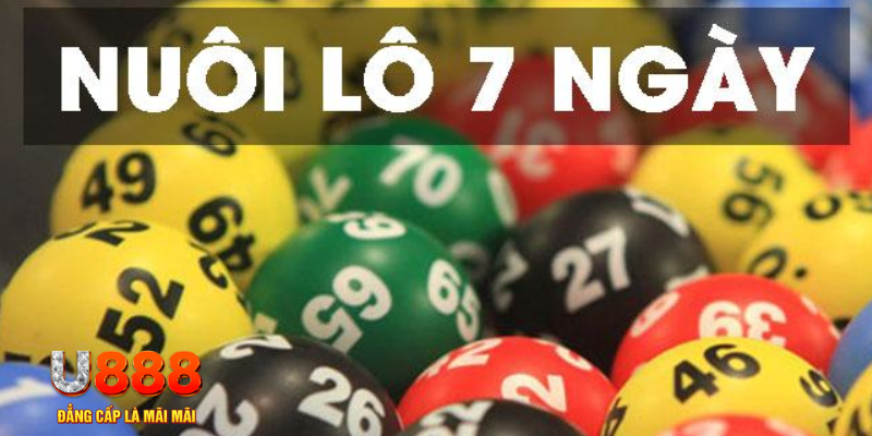555win12 slot là j