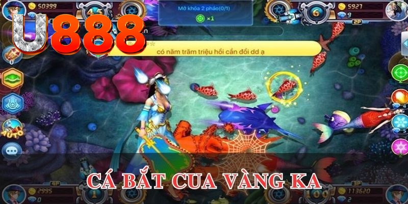 555win12 kết quả xổ số hôm nay