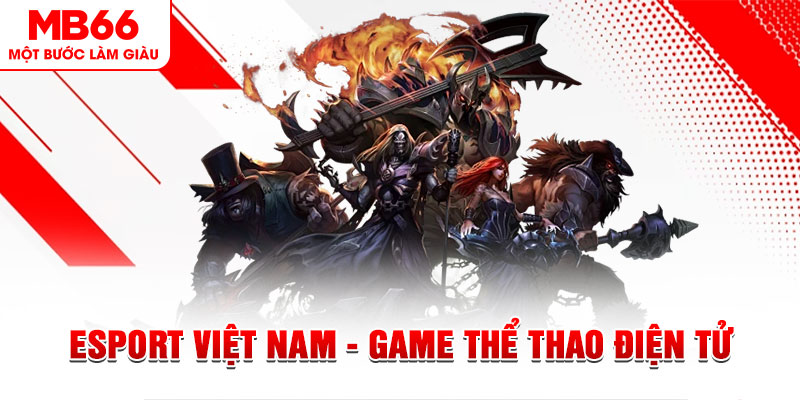 555win12 what are the most popular casino games