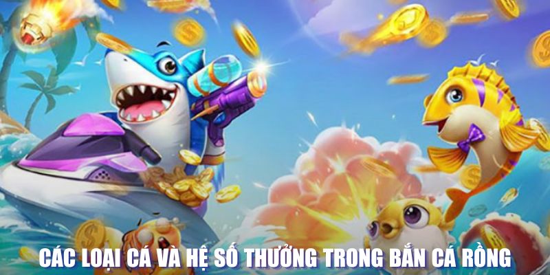 555win12 đăng nhập sòng bạc mới nhất