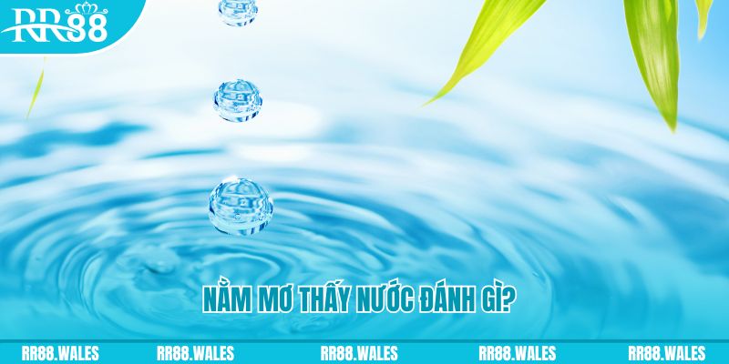 555win12 TP Bắn cá