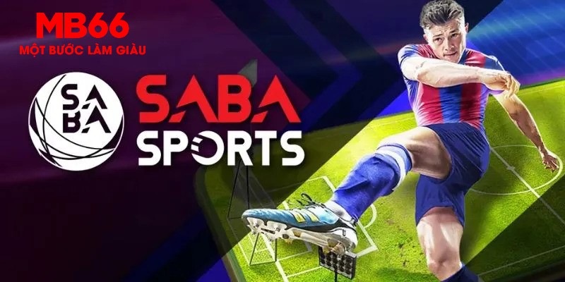555win12 gà chọi c1 thomo