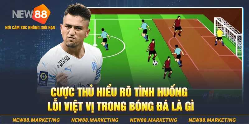 555win12 long bảo baccarat la gì
