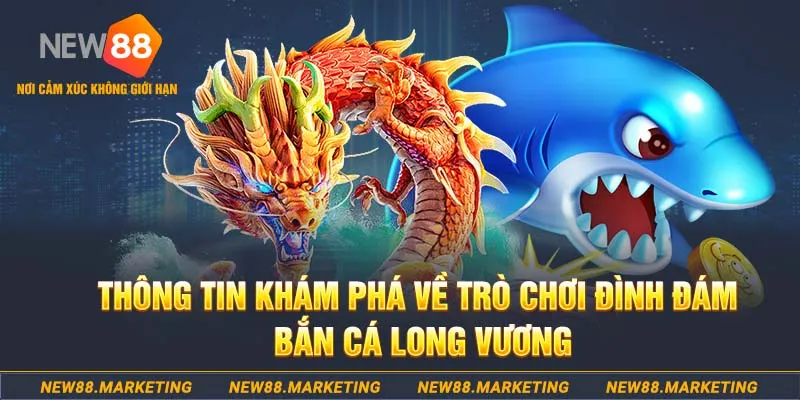 555win12 baccarat lừa đảo như thế nào