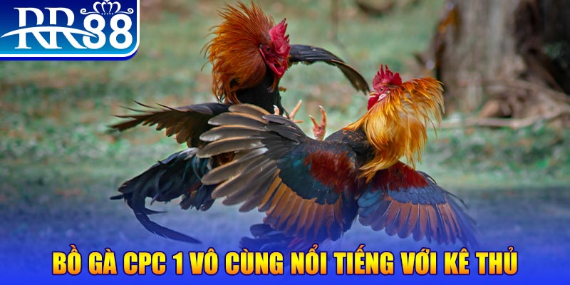 555win12 game máy bay nổ hũ