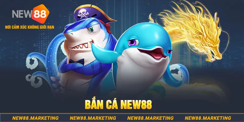 555win12 ban ca xeng 2
