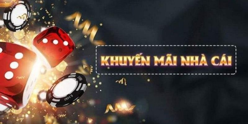555win12 what is live dealer casino