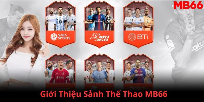 555win12 đăng nhập phỏm 2024