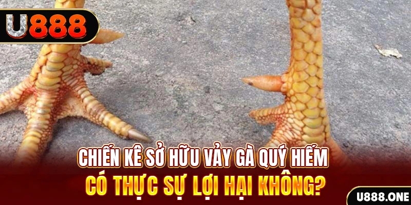 555win12 nohu .mx nổ hủ là gì