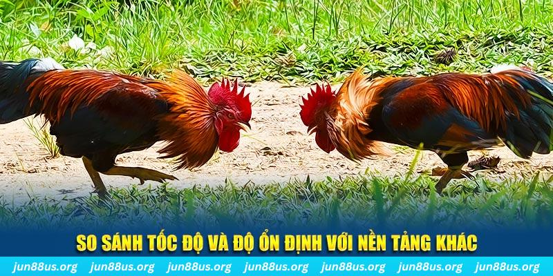 555win12 đá gà hôm nay