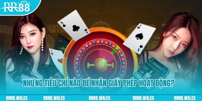 555win12 hơn cả bạn bè