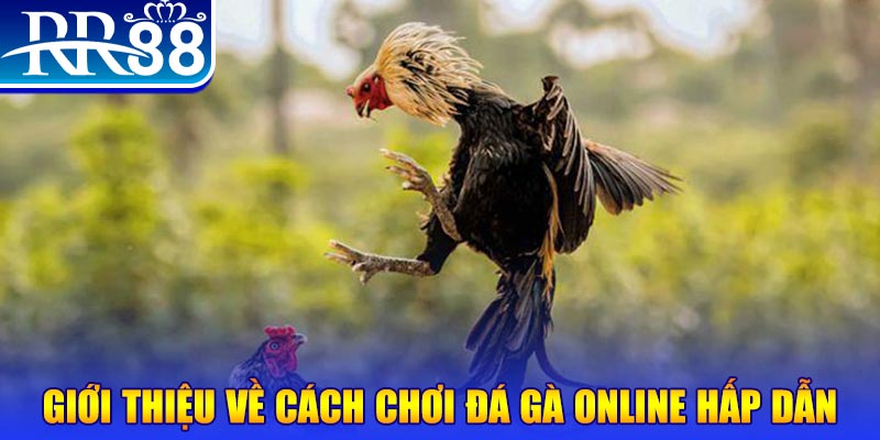 555win12 game nổ hũ rút tiền mặt là gì