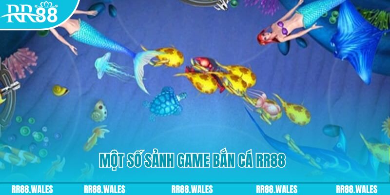 555win12 đăng nhập mậu binh uy tín