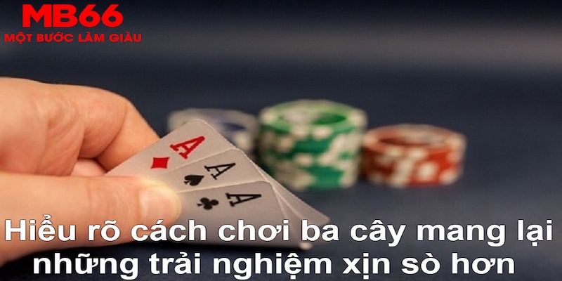 555win12 xổ số đài bắc