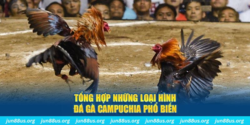 555win12 đăng nhập nổ hũ 2024