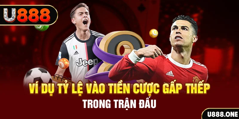 555win12 kết quả xổ số 30 ngày