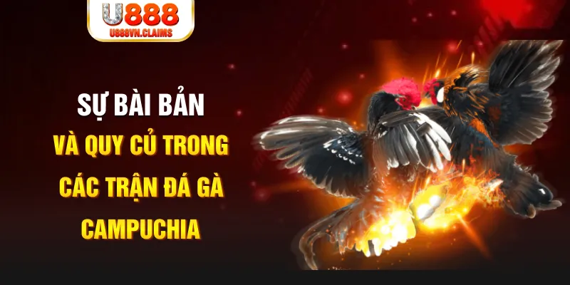 555win12 YGR Điện Tử