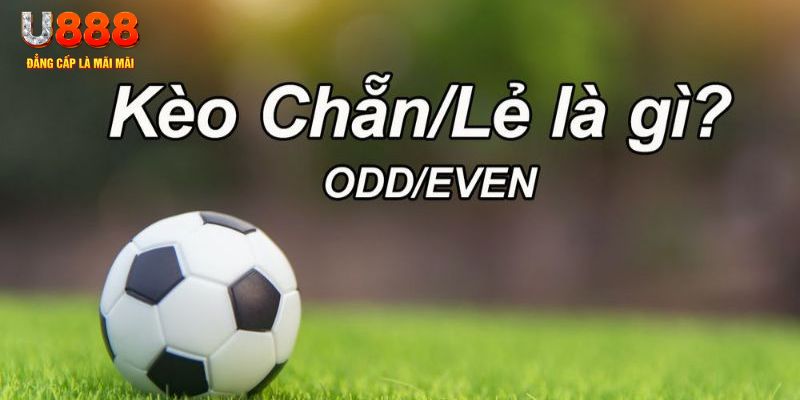 555win12 đăng nhập poker hôm nay