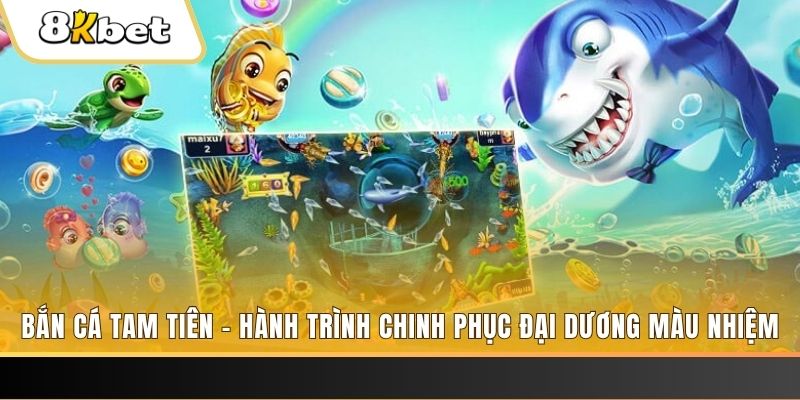 555win12 xổ số bình định