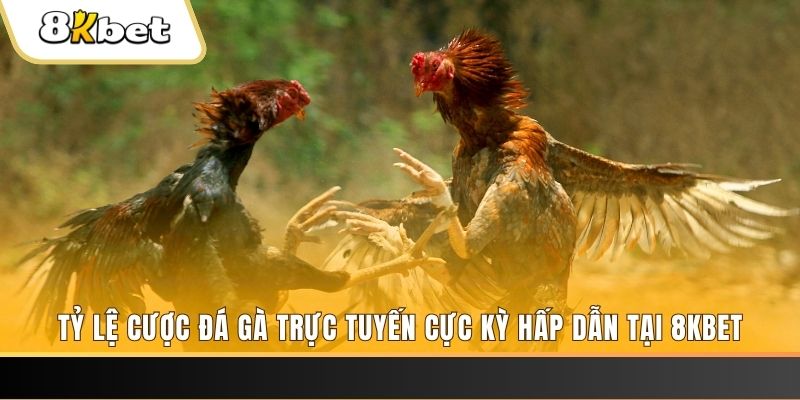 555win12 xổ số trực tiếp miền bắc