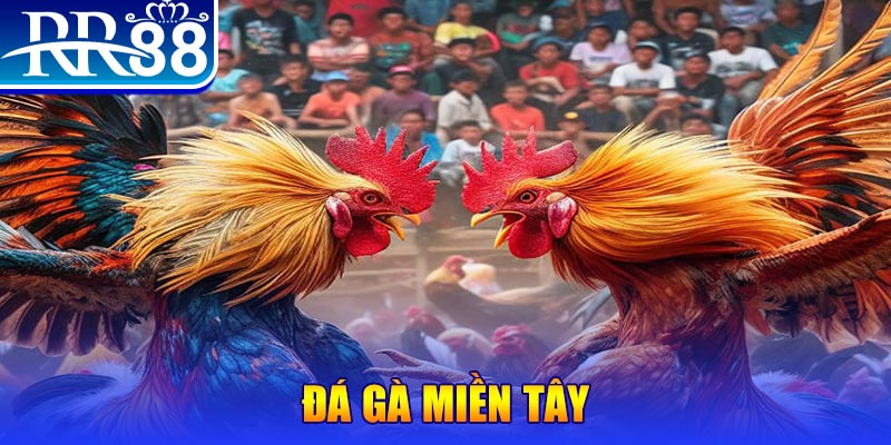 555win12 đăng nhập nổ hũ
