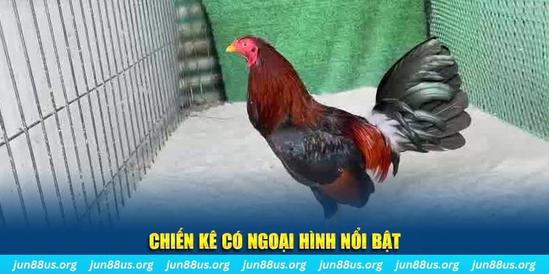 555win12 chạy quảng cáo cho game bài bị phạt như thế nào