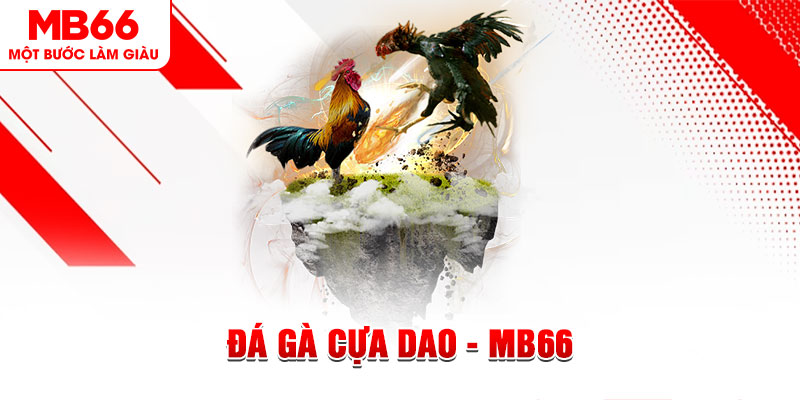 555win12 đá gà sv388 gold
