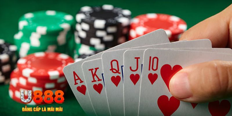 555win12 đá gà trực tiếp thomo 67