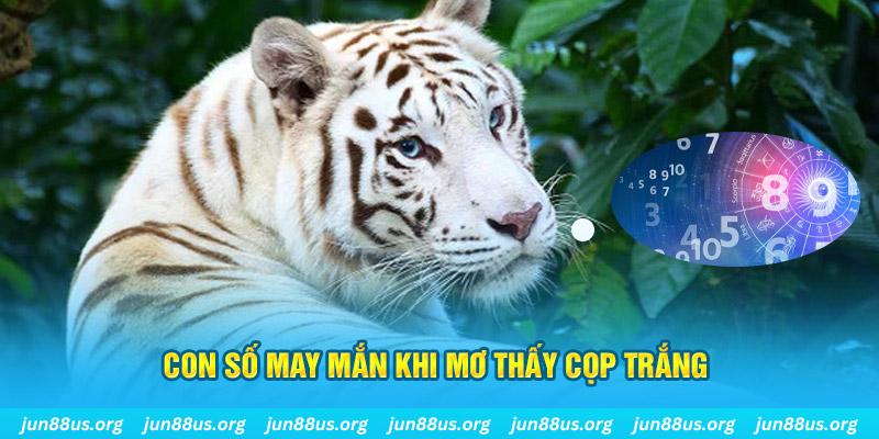 555win12 đá gà trực tiếp 88